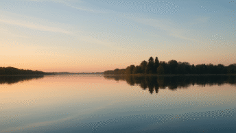 Scott Dylan addresses Jack Mason’s interview, rejecting false claims and focusing on integrity and reform.