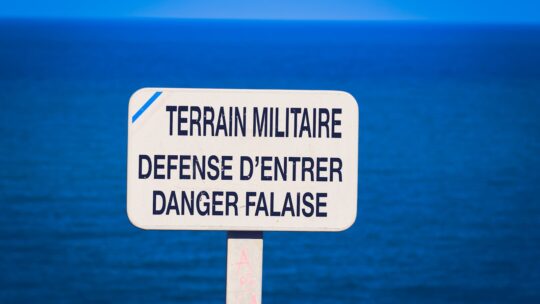 AI Arms Race: Why Anthropics Stand Against Military AI Use Matters - Scott Dylan