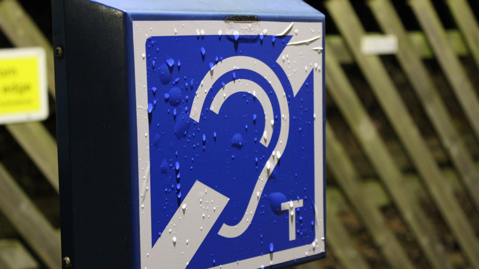 AI and Accessibility: How Technology Can Level the Playing Field for Disabled People - Scott Dylan