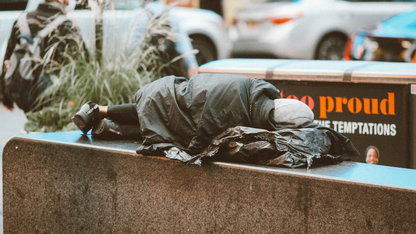 Transitional Housing for Ex-Offenders: The Missing Link in Rehabilitation - Scott Dylan