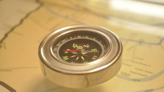 Different leadership styles in professional setting