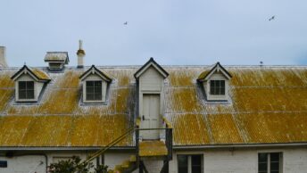 Private Prisons and Accountability: Who Benefits from Mass Incarceration? - Scott Dylan