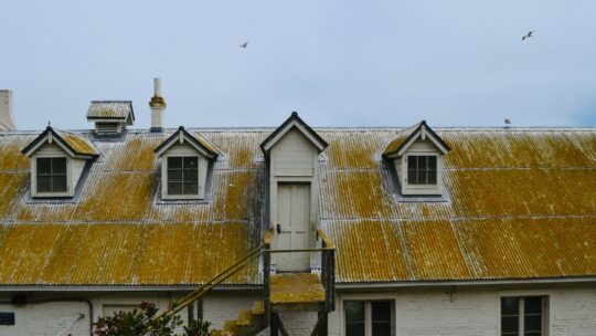 Private Prisons and Accountability: Who Benefits from Mass Incarceration? - Scott Dylan