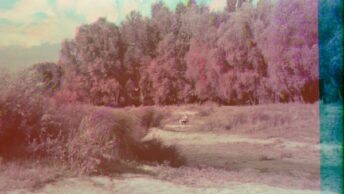 Quirky and creative stress-busting activities