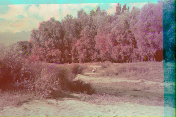 Quirky and creative stress-busting activities