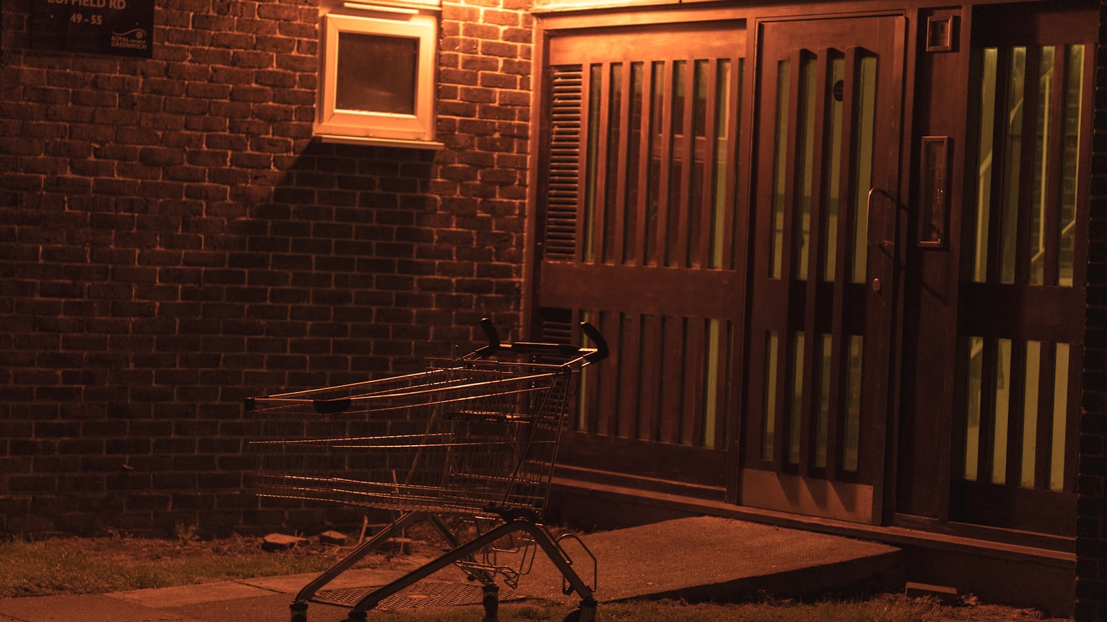 Loneliness and Mental Health: The Epidemic Within the Epidemic - Scott Dylan