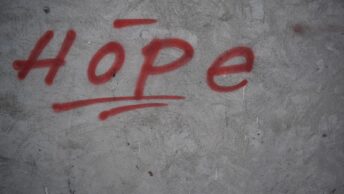 Vulnerable Prisoners and Suicide Prevention: Where the System Fails - Scott Dylan